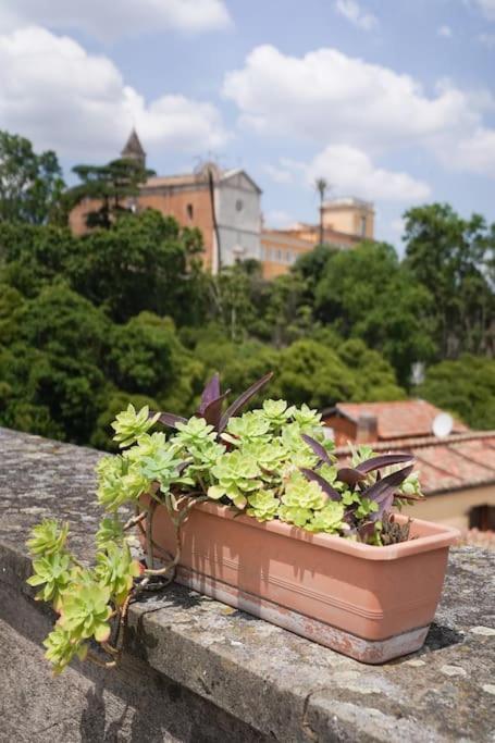 Trasteverina Chic House Rom